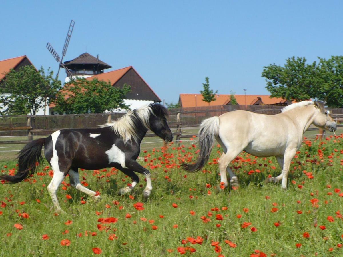 Bukovansky Mlyn Bukovany Esterno foto
